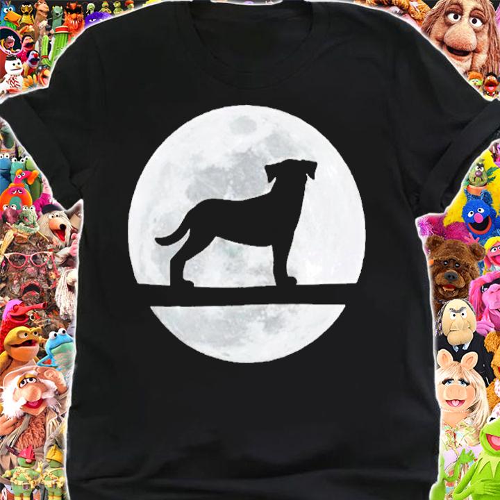 Rottweiler Dog Night Moon Rottweiler Lover T-Shirt t-shirt
