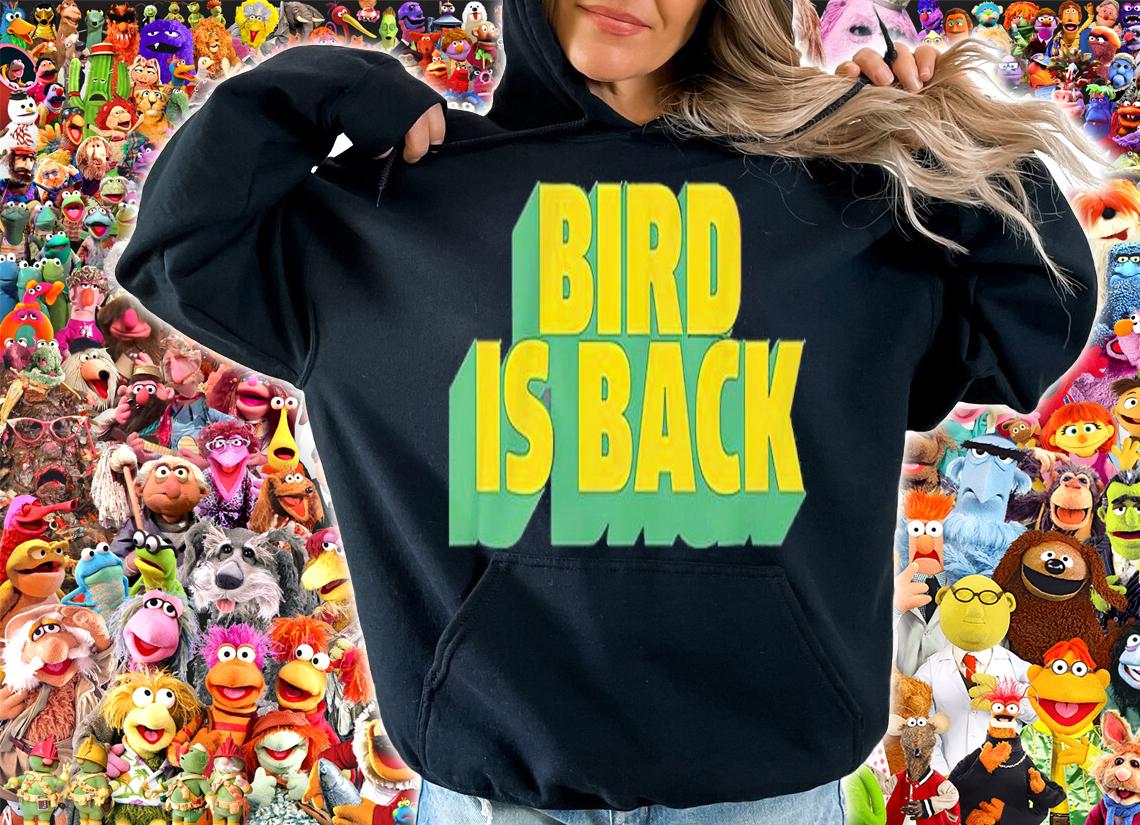 Sue Bird Is Back Shirt t-shirt