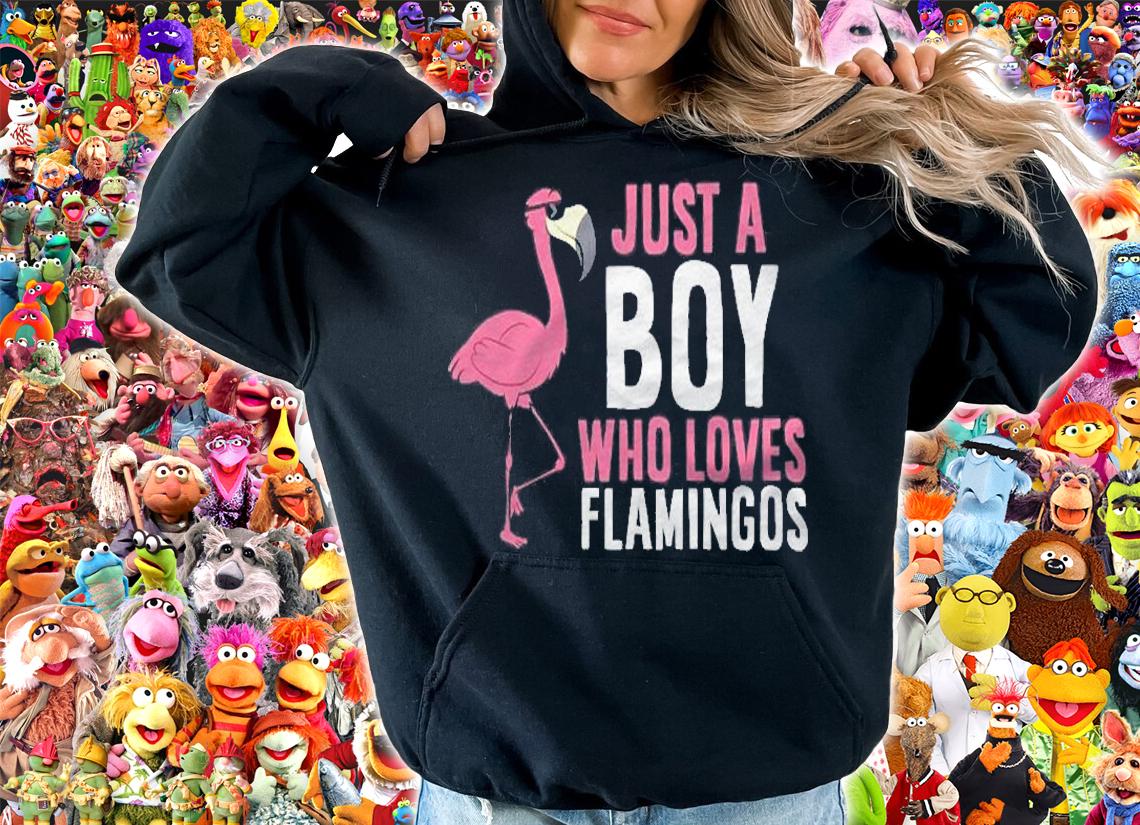 Just A Boy Who Loves Flamingos Pullover Shirt hoodie
