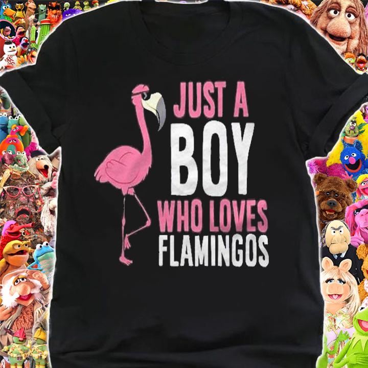 Just A Boy Who Loves Flamingos Pullover Shirt shirt