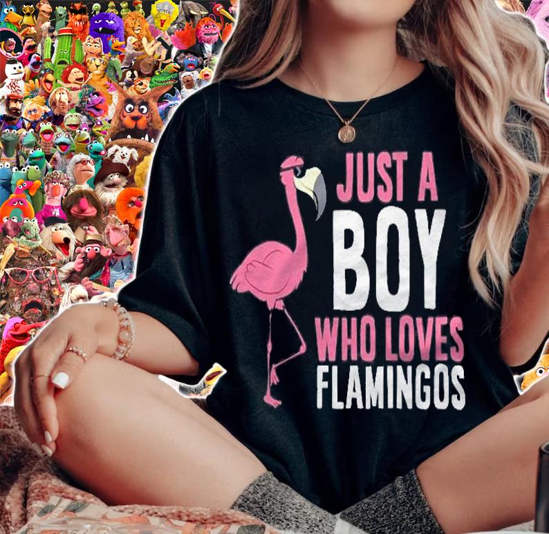 Just A Boy Who Loves Flamingos Pullover Shirt woman shirt