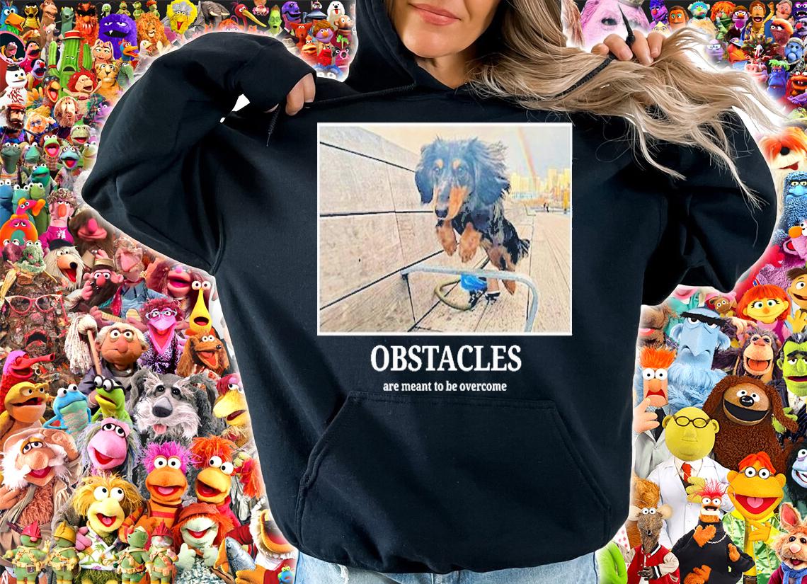 Rigatoni Dog Obstacles Are Meant To Be Overcome T-Shirt hoodie