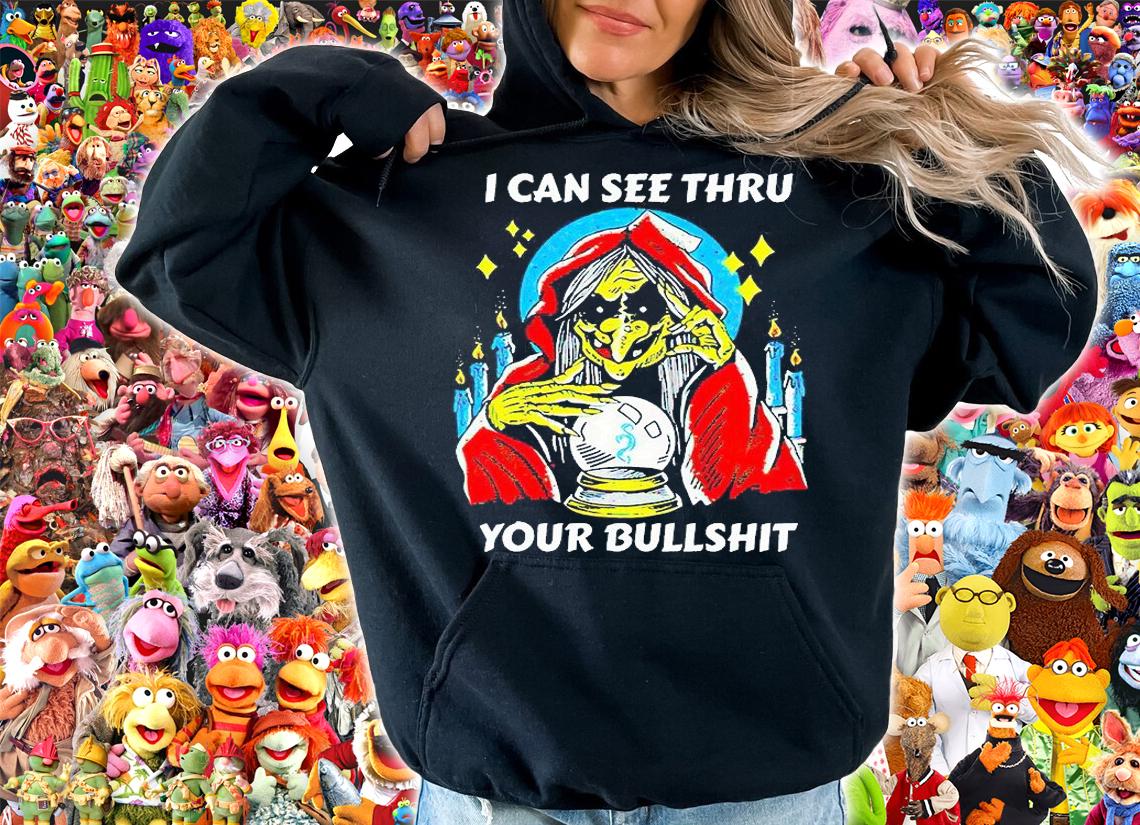 I can see thru your bullshit T-shirt hoodie